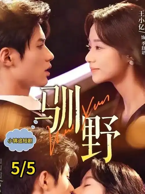 日韩在线观看-东京第七号信箱剧照